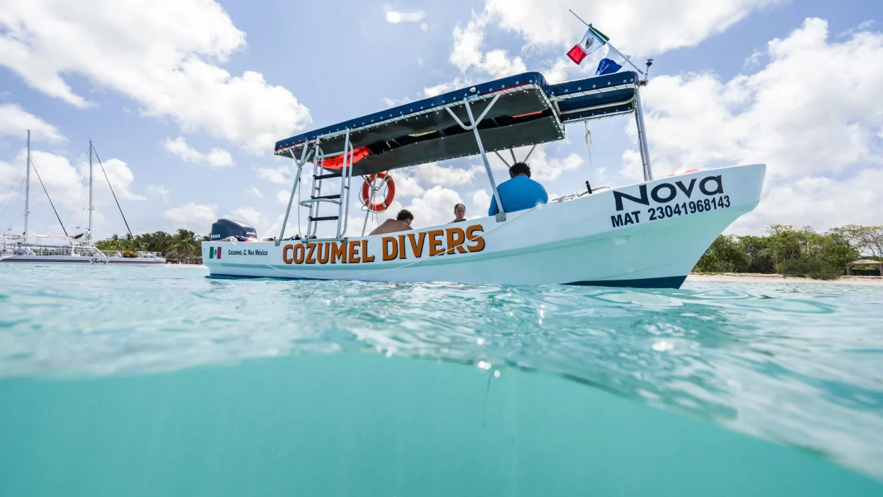 Cozumel Divers